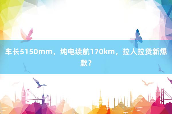 车长5150mm，纯电续航170km，拉人拉货新爆款？