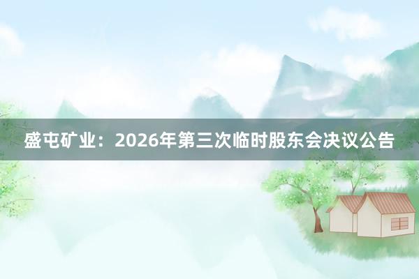 盛屯矿业：2026年第三次临时股东会决议公告