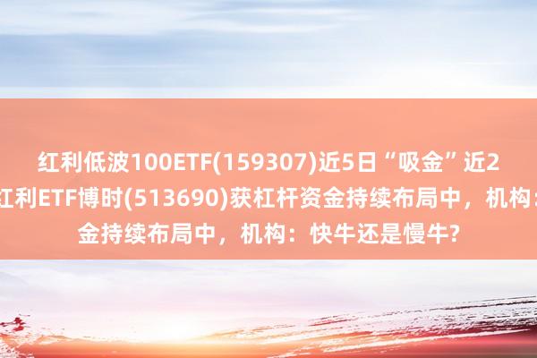 红利低波100ETF(159307)近5日“吸金”近2000万元，港股红利ETF博时(513690)获杠杆资金持续布局中，机构：快牛还是慢牛?