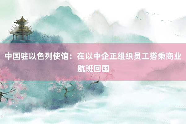 中国驻以色列使馆：在以中企正组织员工搭乘商业航班回国