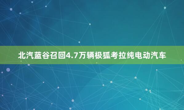 北汽蓝谷召回4.7万辆极狐考拉纯电动汽车