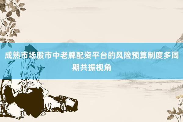 成熟市场股市中老牌配资平台的风险预算制度多周期共振视角