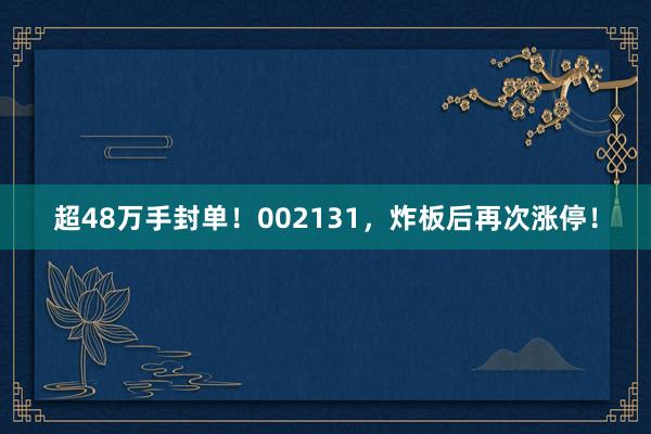 超48万手封单！002131，炸板后再次涨停！