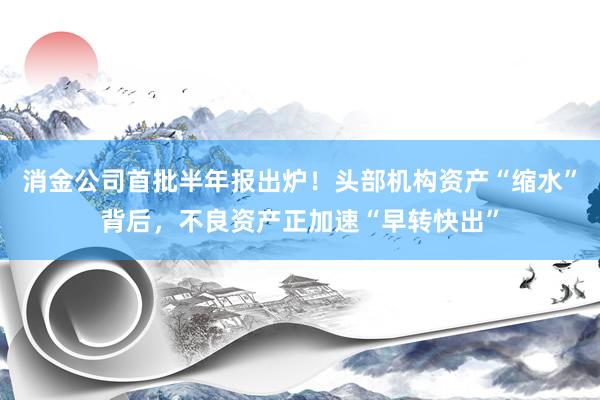 消金公司首批半年报出炉！头部机构资产“缩水”背后，不良资产正加速“早转快出”