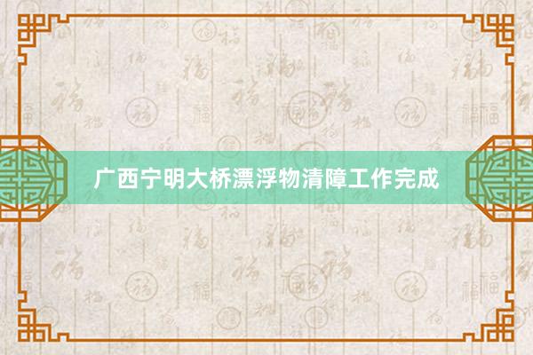 广西宁明大桥漂浮物清障工作完成