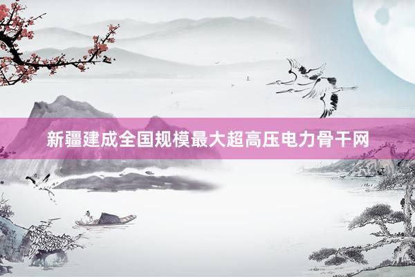 新疆建成全国规模最大超高压电力骨干网