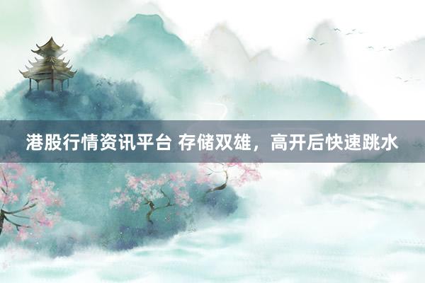 港股行情资讯平台 存储双雄，高开后快速跳水
